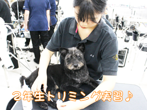 ２年生のトリミング実習♪